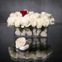 Rectangular glass vase of white roses with one red rose and white stones, with a single rose resting on stones in front.