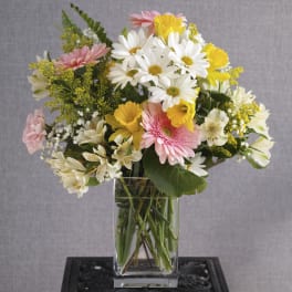Mixed bouquet of daisies, gerbera daisies, and alstroemeria in a glass vase