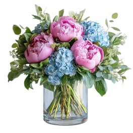 Pink peonies and blue hydrangeas arranged in a clear glass cylinder vase