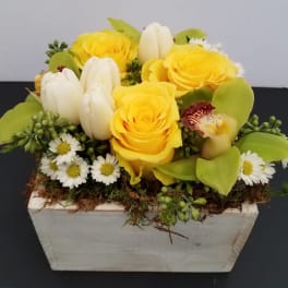 Yellow roses and white tulips in a white rectangular planter