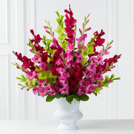 Pink and red gladiolus arrangement in a white vase