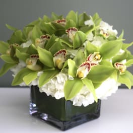 Green orchids and white flowers arranged in a square glass vase
