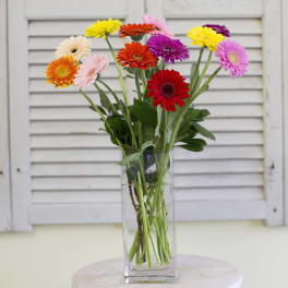 Colorful gerbera daisies in a clear glass vase