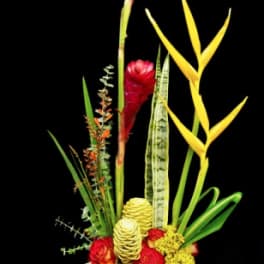 Tall tropical arrangement with red ginger, yellow heliconia, and roses in a black rectangular container.