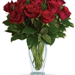 Teleflora's Rose Classique - Dozen Red Roses