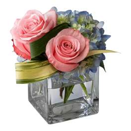 Pink roses and blue hydrangeas in a clear square vase