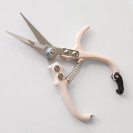 Pair of floral pruning shears with pale handles on a white background