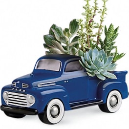 Blue vintage truck planter with succulents in the bed