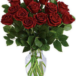 18 Red Roses