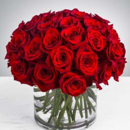 Bouquet of red roses in a clear glass vase