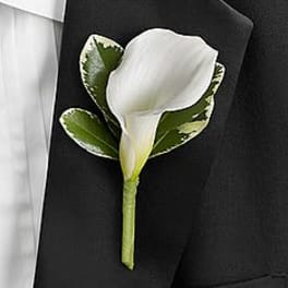 White calla lily boutonniere with variegated green leaves on a black suit jacket