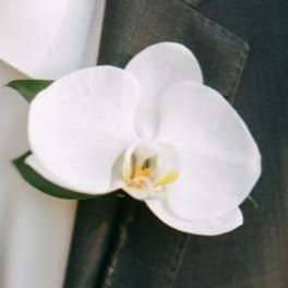White orchid bloom with a yellow center against dark wrapping
