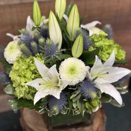 White lilies and green hydrangeas arranged in a square vase