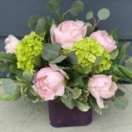 Pink peonies and green hydrangeas in a purple square vase