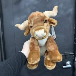 Brown plush cow toy with white horns and snout being held up