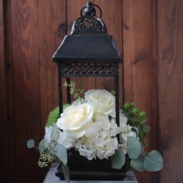 White roses and hydrangeas arranged inside a black lantern