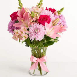 Pink Splendor