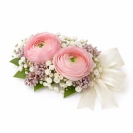 Small corsage of two pink ranunculus with white filler flowers and an ivory ribbon bow
