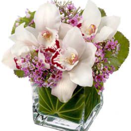 White orchids and purple filler flowers in a clear glass vase