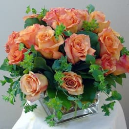 Peach Roses