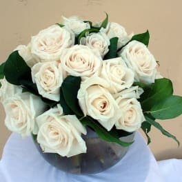 24 White Roses