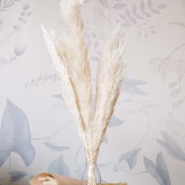 Bleached and Preserved Pampas Grass Bunch