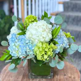 Blue and white hydrangea arrangement in a square glass vase