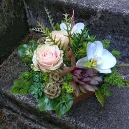 Arrangement of pale pink roses and white orchids with succulents