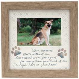 Framed memorial plaque with a dog photo and paw prints