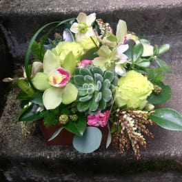 Compact floral arrangement with pale green blooms and succulents in a low container