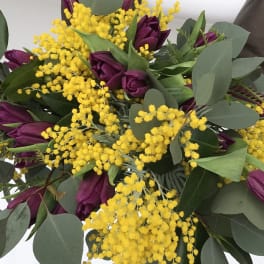 Bouquet of purple tulips with bright yellow mimosa