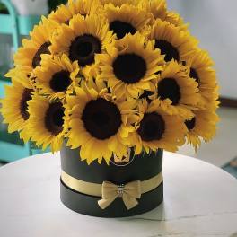 Bouquet of yellow sunflowers in a black round box with a gold ribbon