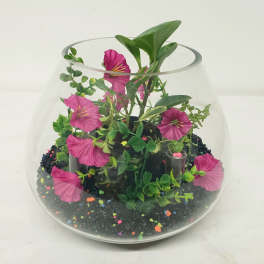 Pink flowers in a glass bowl terrarium with green plants and black pebbles