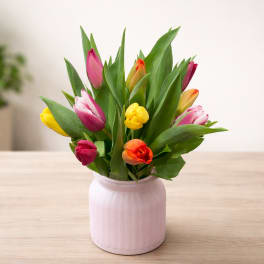 Colorful tulips arranged in a pink ceramic vase