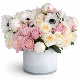 Low pastel arrangement of pink and cream roses with white anemones in a white cylinder vase