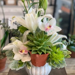 White lilies and orchids arranged in a white vase with a small potted succulent.