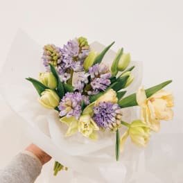 Bouquet of pale yellow tulips and lavender hyacinths wrapped in white paper