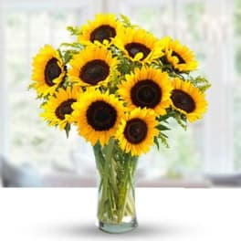 Tall bouquet of bright yellow sunflowers in a clear glass vase
