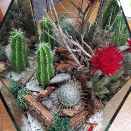 Terrarium with cacti, rocks, and red artificial flowers in a glass container