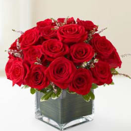 Red roses arranged in a clear square glass vase
