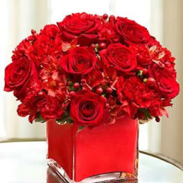 Red rose bouquet in a red square vase
