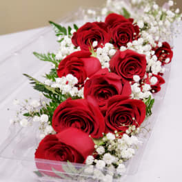 Red roses with white baby's breath in a clear plastic box