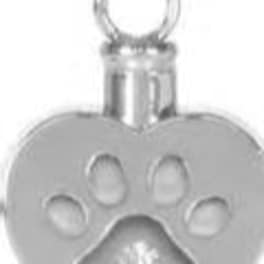 Silver paw-print pet tag with a clip