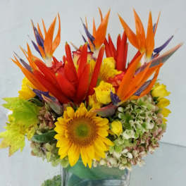 Bright tropical bouquet with sunflowers and bird of paradise in a glass vase