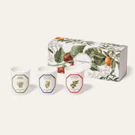 Three scented candles with a botanical gift box