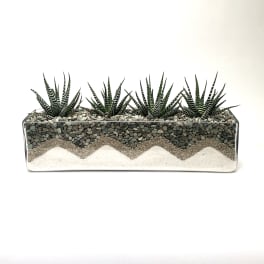 Rectangular planter with striped succulents and layered pebbles and sand