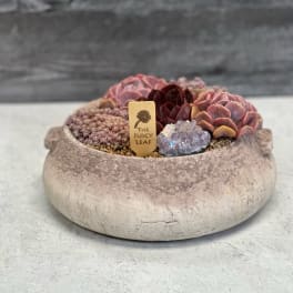 Succulent arrangement in a shallow stone bowl with a small plant tag
