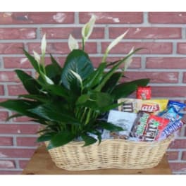 Basket of white peace lilies with assorted candy bars