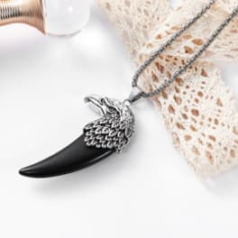 Black horn pendant necklace with silver chain and lace background