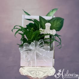 Potted green plant in a white wooden box with a decorative cross and ribbon